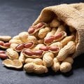 Fıstık
